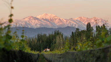 Finca Bandini lanza dos nuevos Cabernet de alta gama desde Las Compuertas