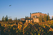 Rosell Boher Lodge Presenta su Primer Pop Up Internacional 2025