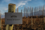 Bodegas Bianchi celebra sus 97 vendimias con nuevas añadas y espíritu innovador