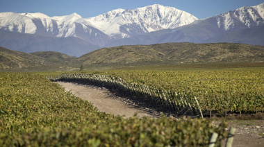 Vendimia 2025 en Doña Paula: desafíos climáticos y vinos prometedores
