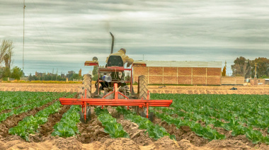 Envases reciclados a cajones cosecheros: la propuesta de Maipú para un agro más limpio