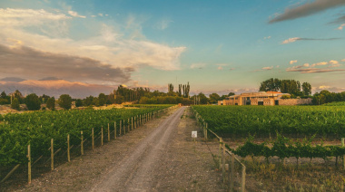 Bodegas Bianchi celebra el Día Mundial del Malbec con tres vinos destacados de San Rafael y Valle de Uco