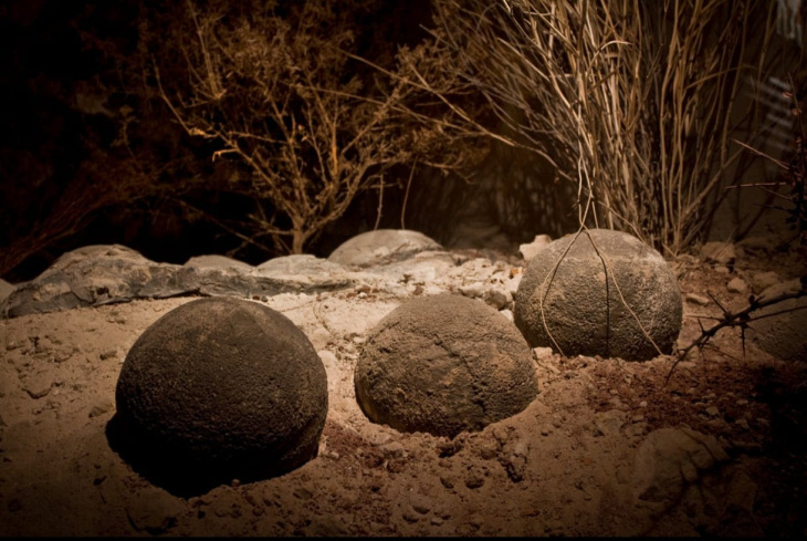La historia de los dinosaurios patagónicos confluye con en vino en Saurus