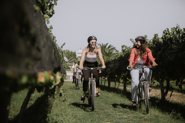 Bici Tour por los viñedos, ideal para disfrutar con amigos o familia