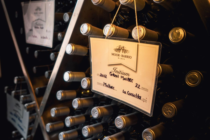 Los vinos de Moor-Barrio, la bodega bonsai mendocina, crecen y se destacan