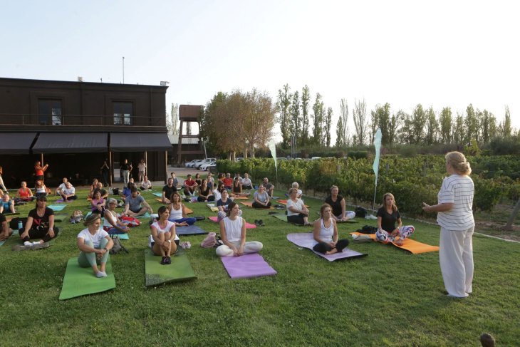 La actividad finaliza con un brindis y degustación en el restaurante de la bodega