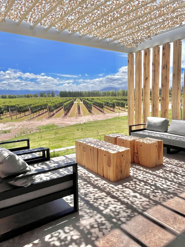 Los viñedos conviven con huertas, olivos y animales en un equilibrio natural