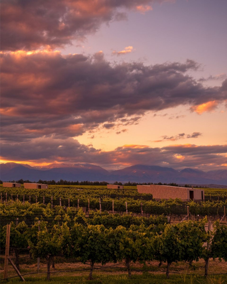 Ofrece alojamiento exclusivo entre viñedos con vistas a la Cordillera