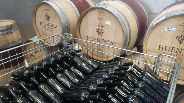 La bodega urbana de Huentala Wines avanza con el fraccionamiento de los vinos de la cosecha 2025