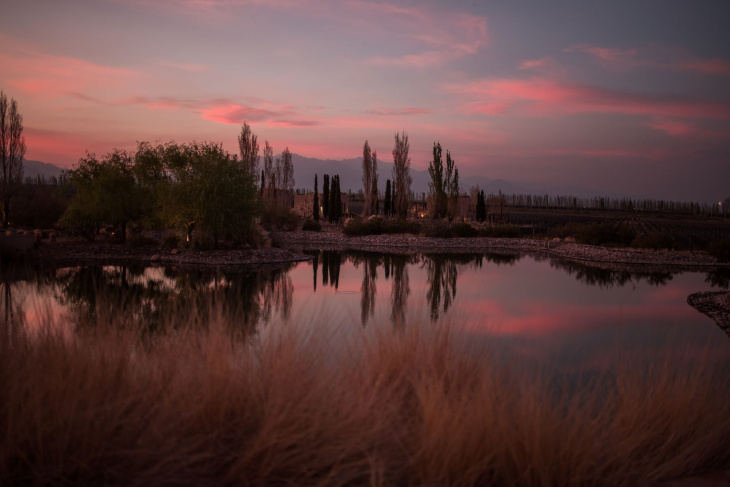 Casa Boher y gastronomía creativa, los ejes de la experiencia