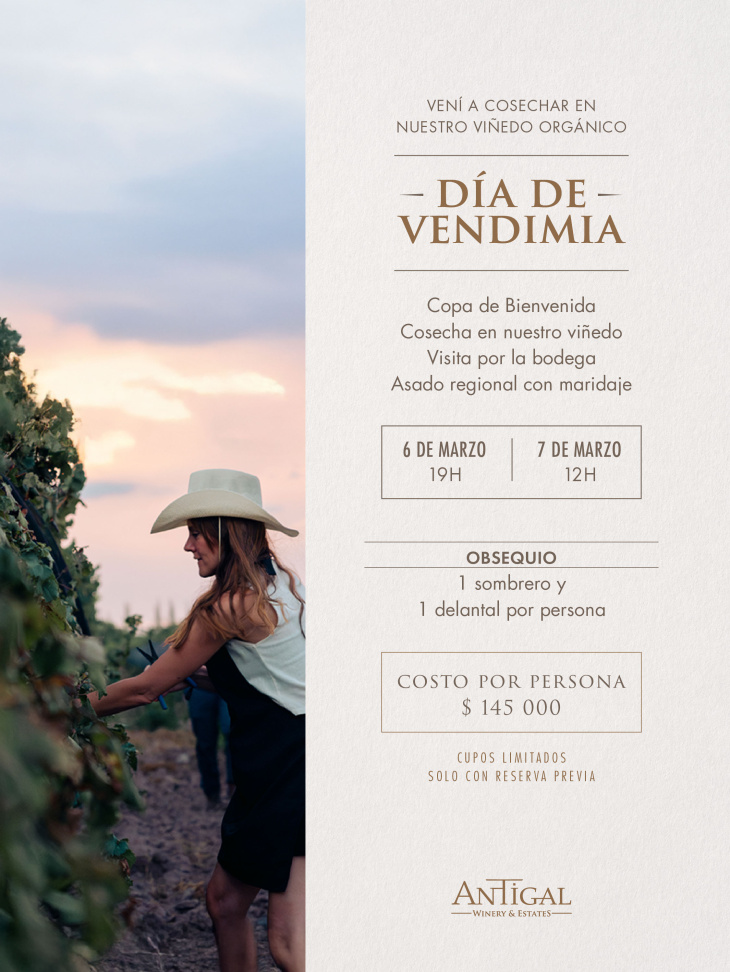 La Experiencia Día de Vendimia invita a cosechar en viñedos orgánicos.