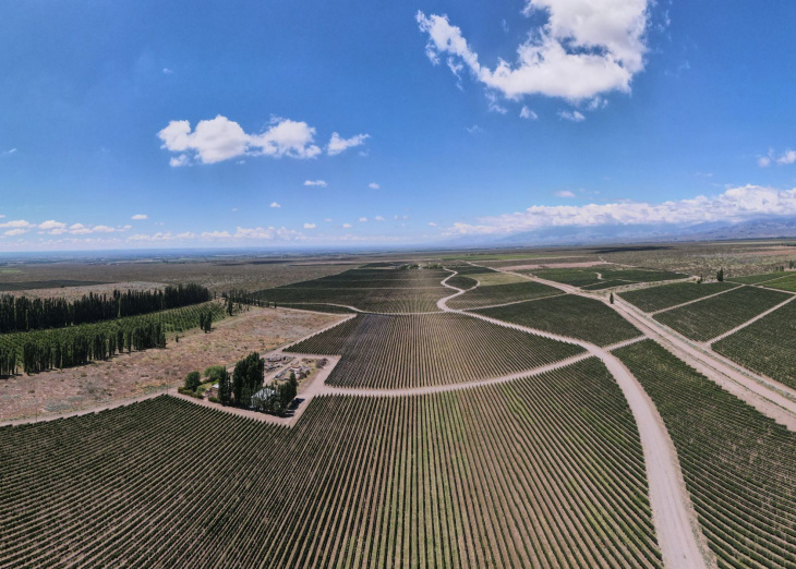 El fraccionamiento marca una etapa clave antes de la guarda en botella.