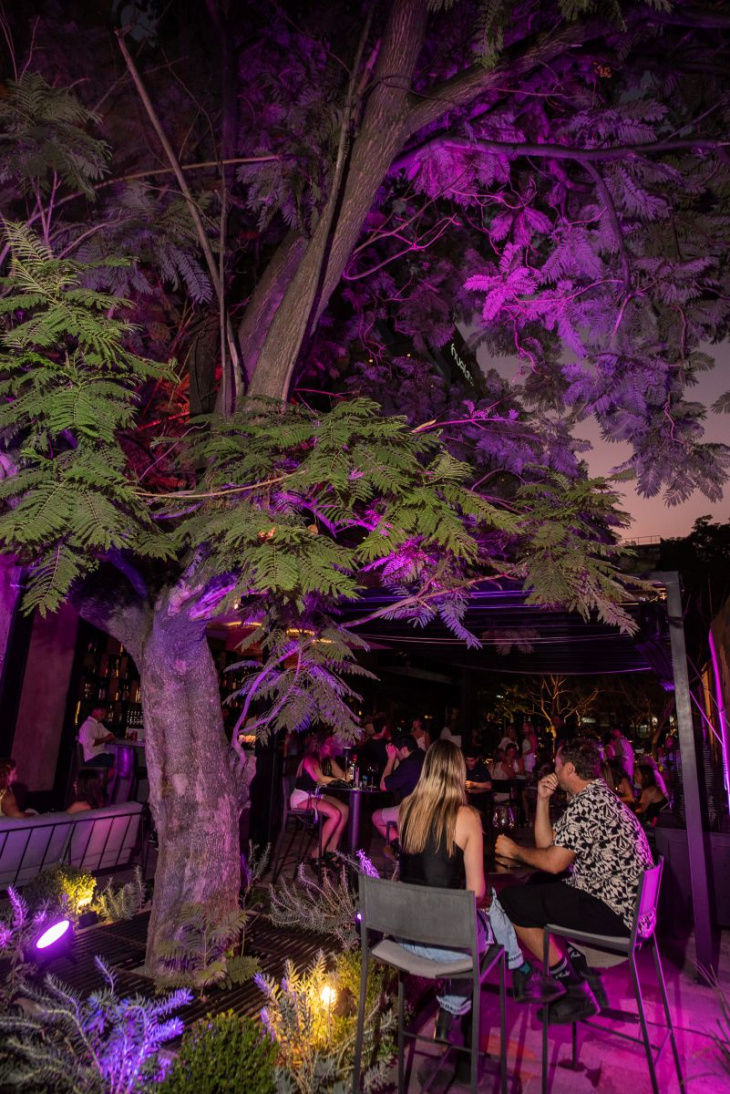 Sabores, aromas y texto se unen en una experiencia integral.