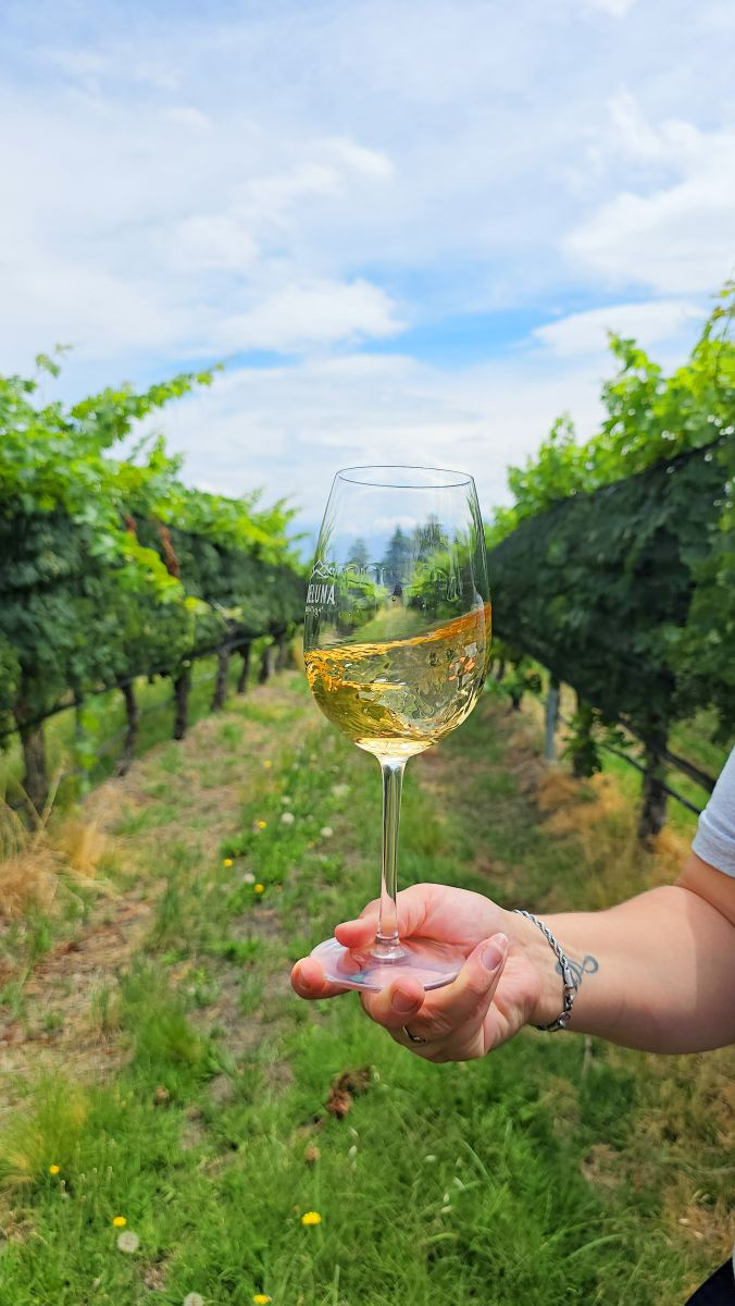 El vino proviene de viñedos ubicados a más de 1.300 metros de altura en Tupungato.