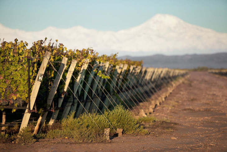 El reconocimiento fortalece la presencia internacional del vino argentino.
