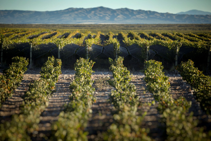 La certificación se alcanzó tras una auditoría no anunciada, de máxima exigencia.