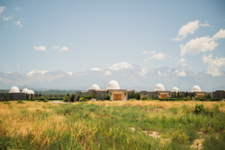 Experiencias para celebrar el origen del vino