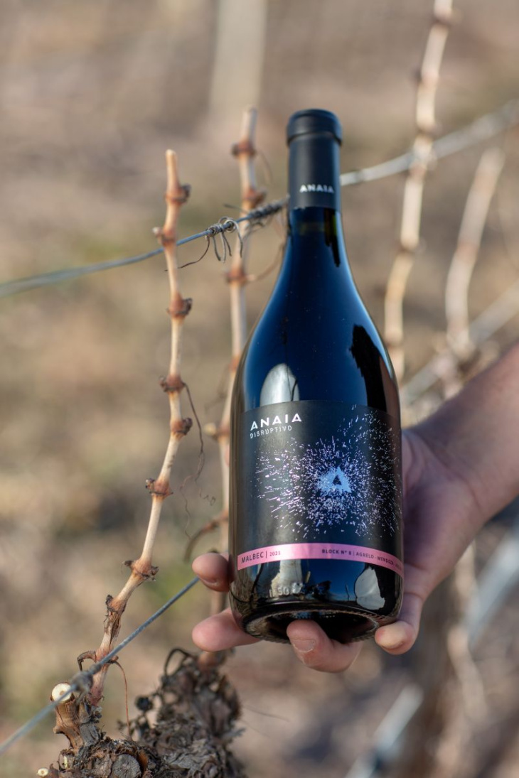 Precio sugerido: $95.000