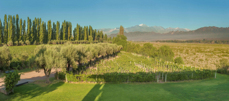 La colección reúne Malbecs elaborados con viñedos centenarios de Mendoza.
