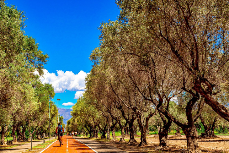 La propuesta combina recorridos en bicicleta y gastronomía regional.