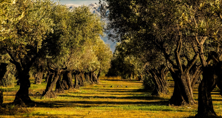 La actividad busca fortalecer el turismo rural sostenible en el departamento.