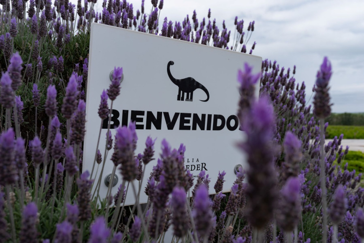 Bodega Familia Schroeder renueva su propuesta para las vacaciones de invierno.