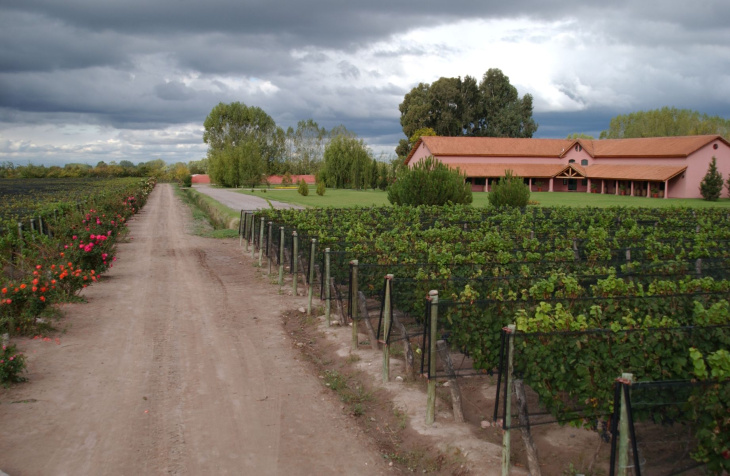 El Malbec proviene de viñedos añosos de Vistalba, Luján de Cuyo.