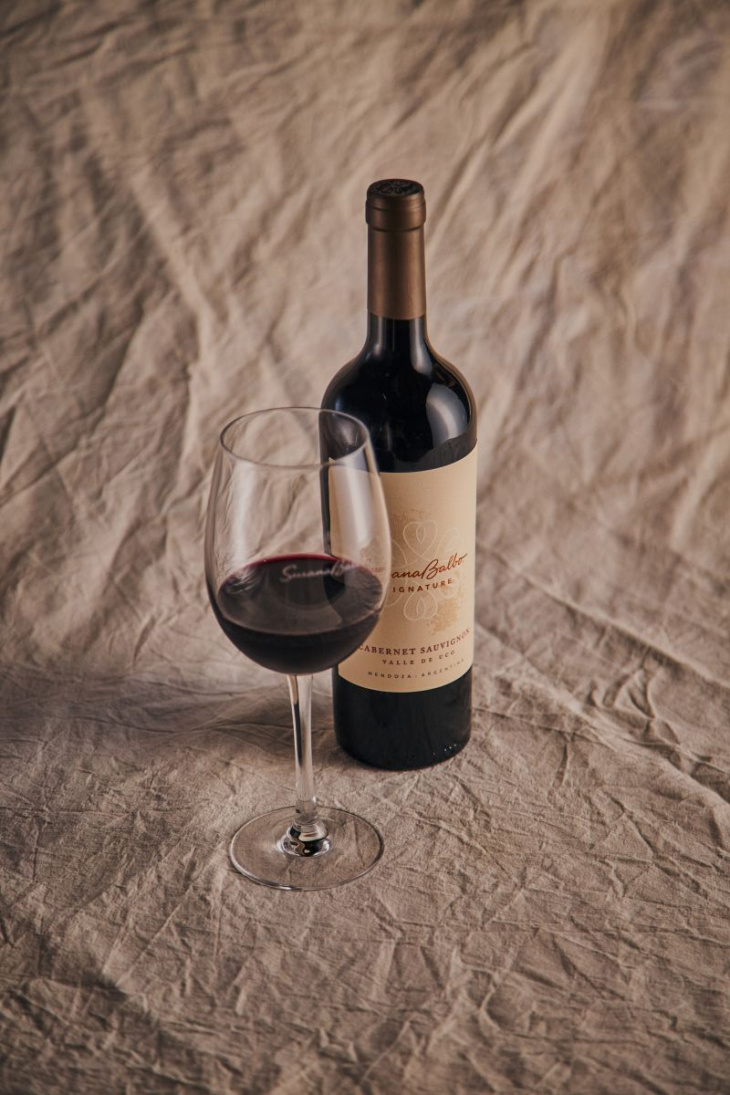 El vino fue elaborado con uvas provenientes del Valle de Uco.