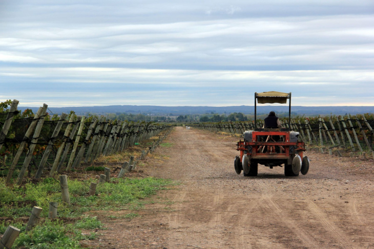 CrowdFarming.Wine amplió su presencia internacional.