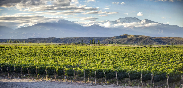 El Malbec nació en La Isabel Estate, una finca ubicada en Gualtallary.
