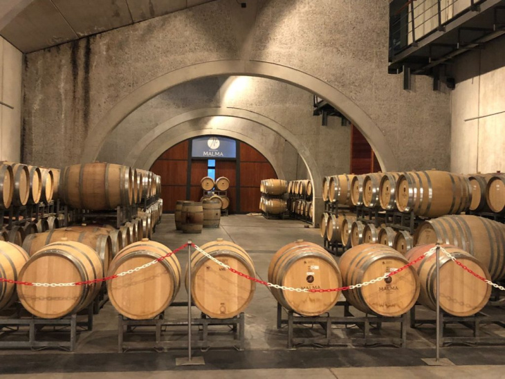Malma conserva todo el espíritu y terroir patagónico en sus vinos