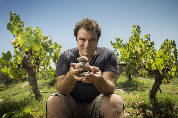El vino pertenece a El Enemigo Wines, proyecto del enólogo Alejandro Vigil y Adrianna Catena.