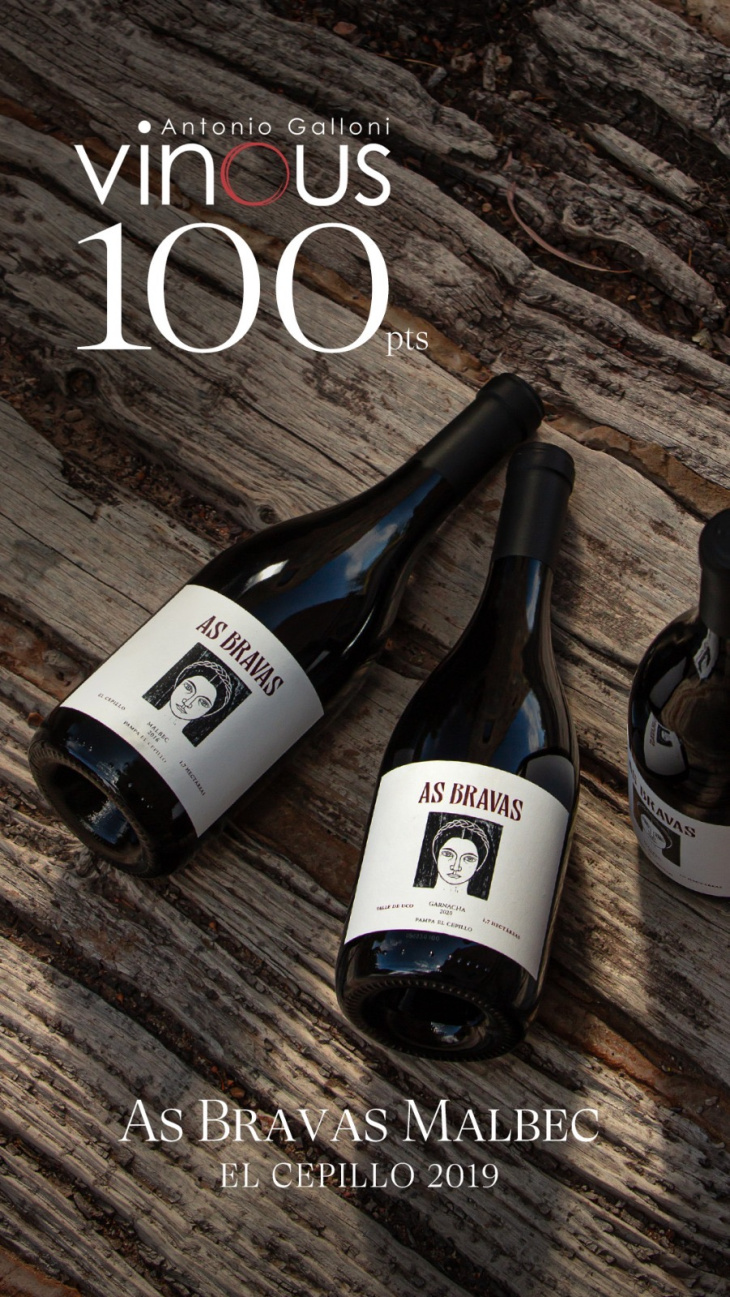 As Bravas Malbec El Cepillo 2019 obtuvo 100 puntos de Vinous.