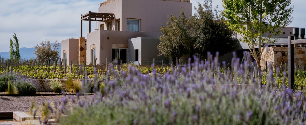 Tripadvisor reconoce a Rosell Boher Lodge entre los mejores hoteles del mundo en 2025