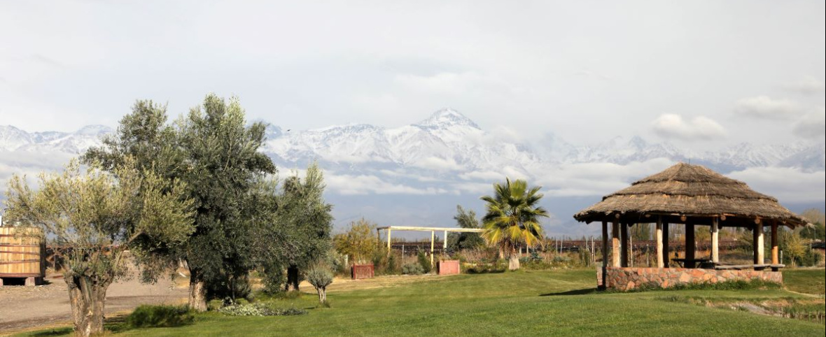 Experiencia Gaia: cocina de autor, vinos orgánicos y turismo sustentable en Domaine Bousquet