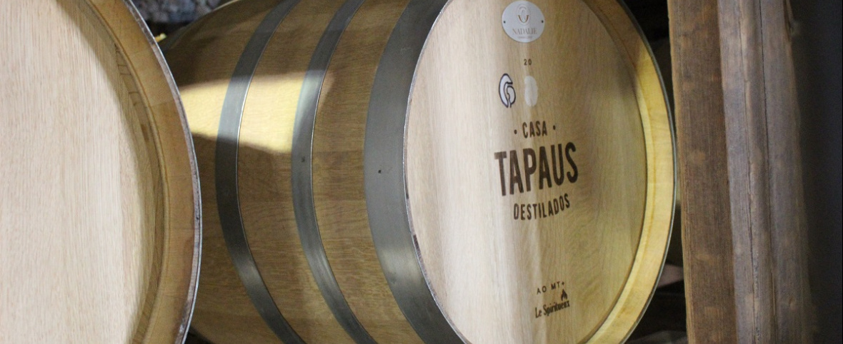 Gin, vermut y pisco: el auge de las bebidas artesanales con sello mendocino