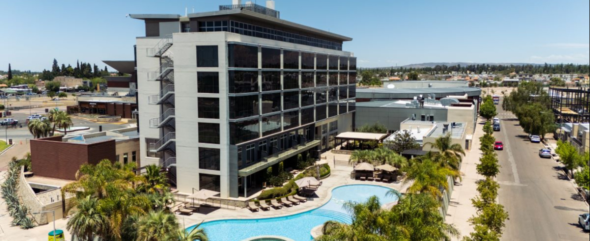 Degustación con identidad mendocina: vinos, oliva y hospitalidad en el corazón de Maipú