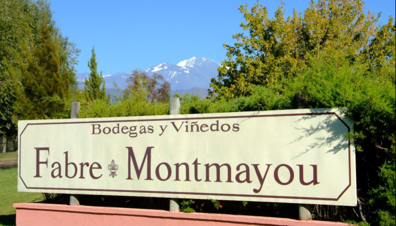 Fabre Montmayou: vinos de excelencia con un firme compromiso sustentable