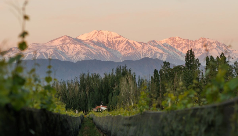 Finca Bandini lanza dos nuevos Cabernet de alta gama desde Las Compuertas