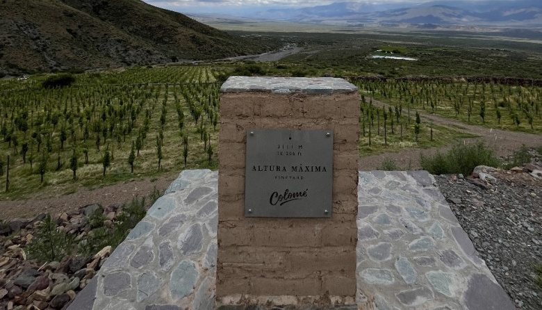 Altura Máxima 2022: el Malbec de las nubes que cautivó a Tim Atkin
