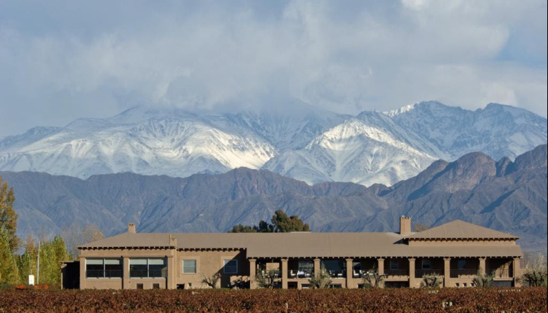 Vacaciones de invierno en Mendoza: experiencias enoturísticas entre viñedos, sabores y paisajes
