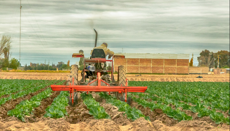Envases reciclados a cajones cosecheros: la propuesta de Maipú para un agro más limpio