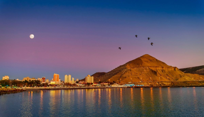 Comodoro Con Viento a Favor: experiencias turísticas y el retorno de la ballena sei al Golfo San Jorge
