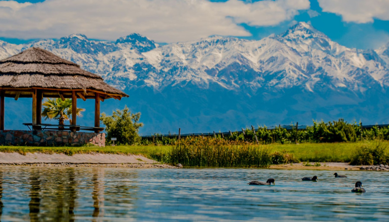 Experiencia Gaia: Domaine Bousquet lanza su propuesta de verano 2026 con vino orgánico, gastronomía y naturaleza en Gualtallary
