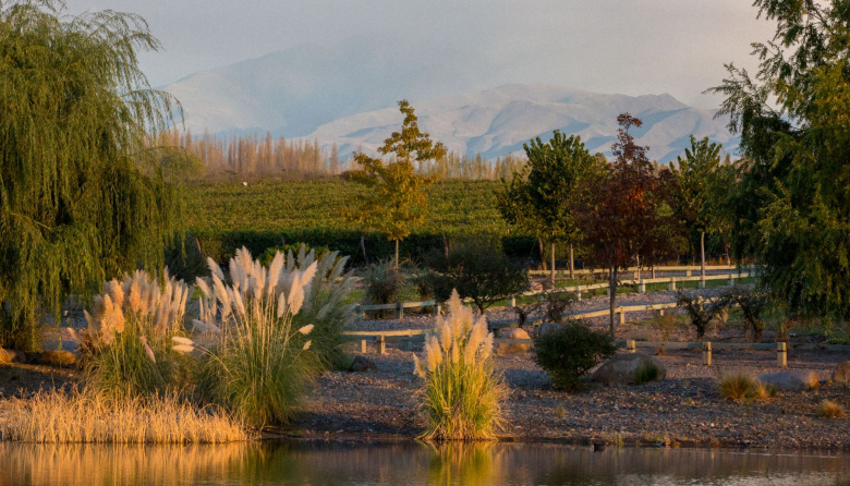 Grupo Huentala presentó sus novedades de la semana: experiencias para San Valentín, avances en bodega urbana y agenda vendimial