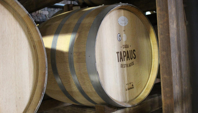 Gin, vermut y pisco: el auge de las bebidas artesanales con sello mendocino