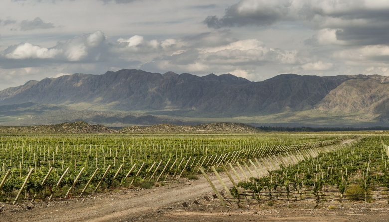 En el Mes del Malbec, Familia Millán apuesta por un vino fresco nacido en altura