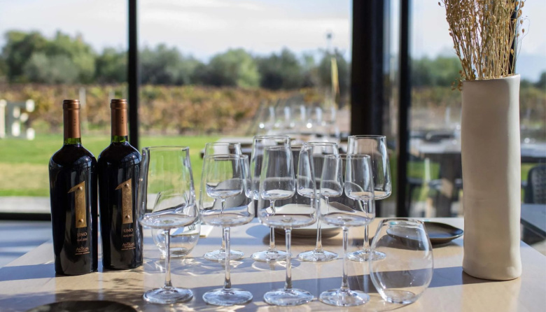 Antigal invita a vivir los partidos de Argentina entre vinos, gastronomía y viñedos en Maipú