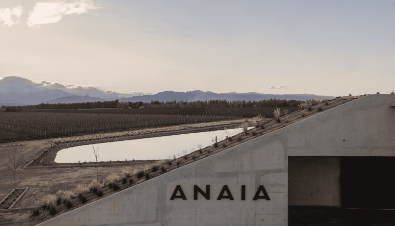 Día del Vino Blanco: Anaia apuesta a una categoría que gana protagonismo con etiquetas de alta gama