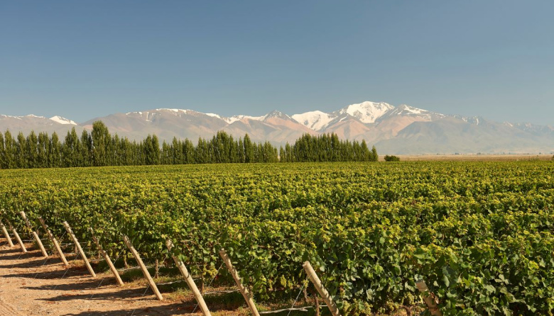 De los Andes al mar, las nuevas fronteras del Pinot Noir